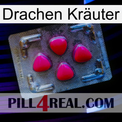 Drachen Kräuter 13